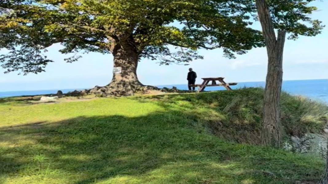 Burası Akdeniz veya Ege değil Karadeniz! Bembeyaz kumuyla sizleri bekliyor: Türkiye'nin en sakin yeri 2
